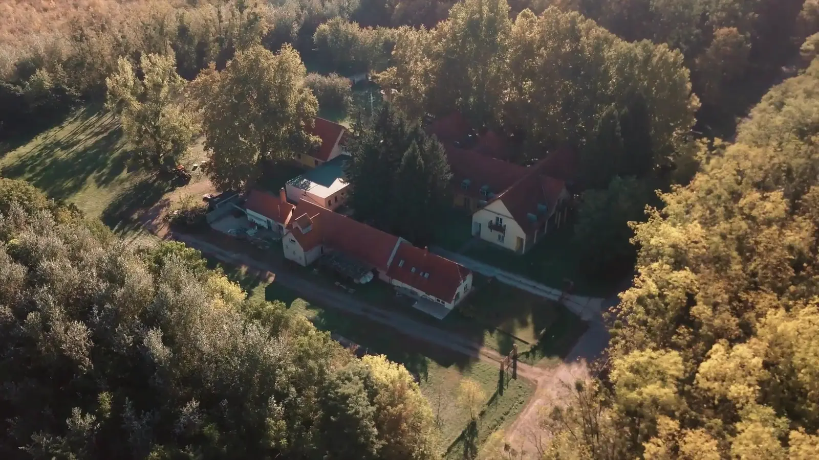 Az otthon piros tetős épületei az erdő közepén, madártávlatból
