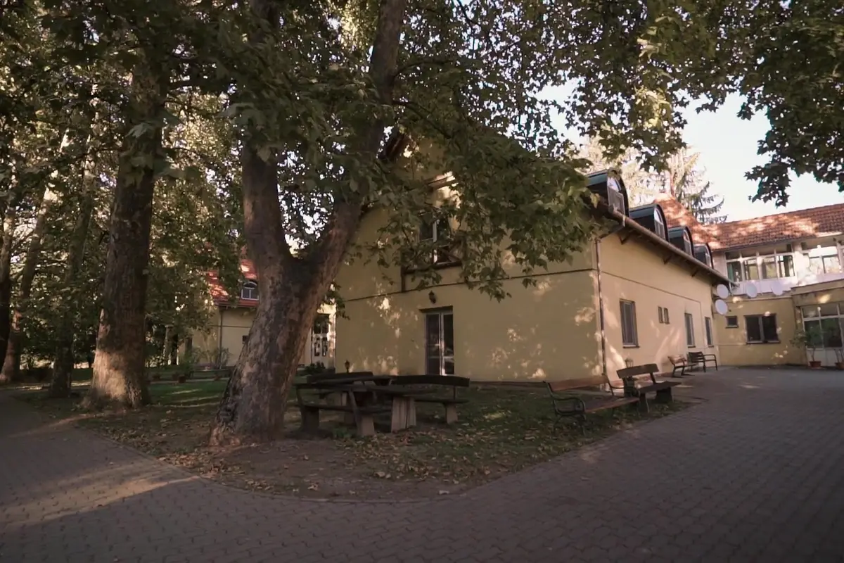 Öreg platánfa az udvaron, mögötte az otthon épülete