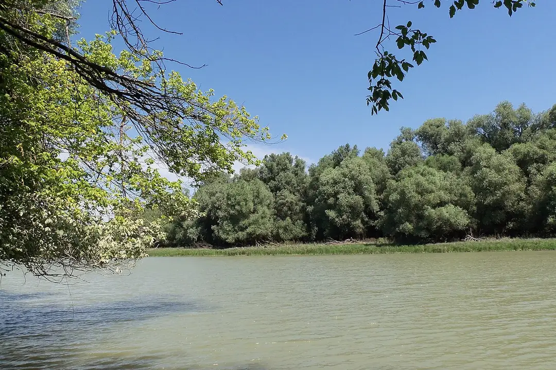 A Rezéti-Duna a Duna-Dráva Nemzeti Park gemenci részén