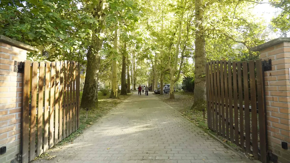 Nyitott fakapu, mögötte platánfákkal szegélyezett út