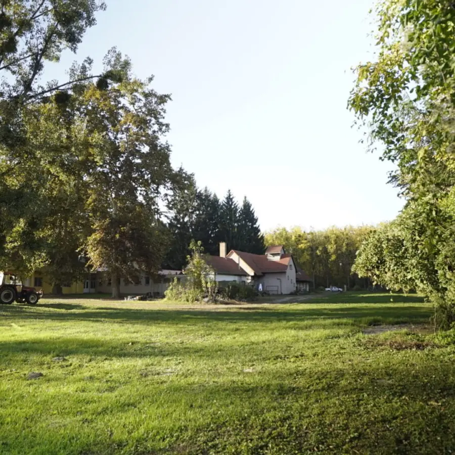 Füves park öreg fákkal, a háttérben az otthon épülete